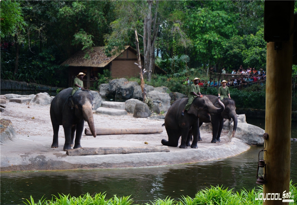 超值游学转不停，心动不如行动喽