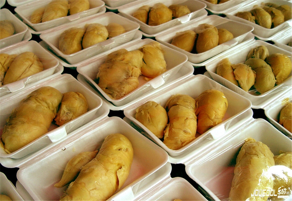 狮城，吃喝玩乐GO!