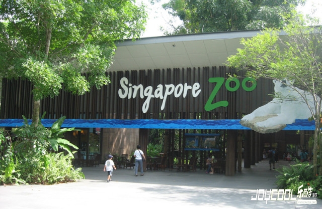 玩转新加坡—新加坡动物园