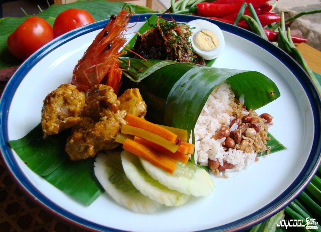新加坡经典美食—椰浆饭-游学资讯-乐酷游学