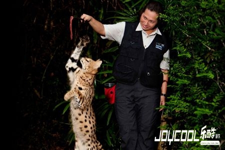 新加坡游学 新加坡游学