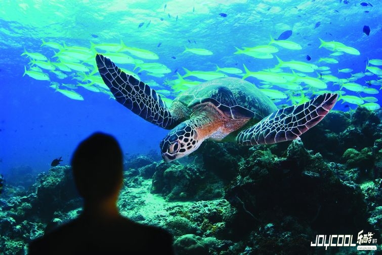 新加坡游学 新加坡游学