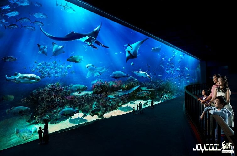新加坡的海洋乐园——S.E.A