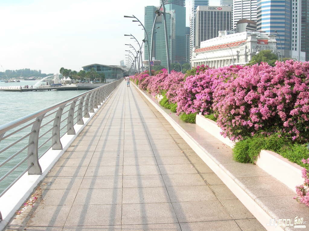 新加坡那些你不得不知的常识