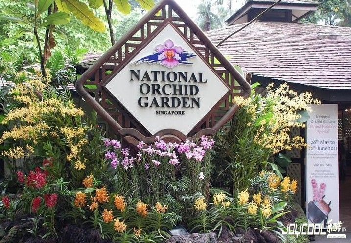 因胡姬花而建立的园区——胡姬花园