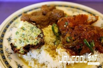 新加坡游学菜饭