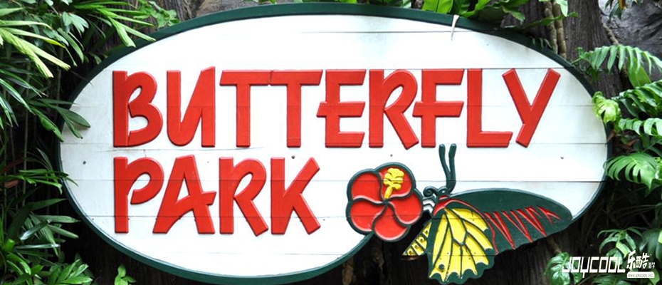 新加坡游学之新加坡蝴蝶园与昆虫王国