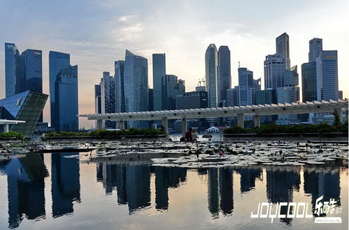 带着你的礼仪去新加坡游学