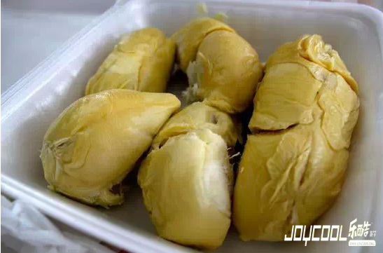 新加坡游学怪异、美味食物大盘点（一）