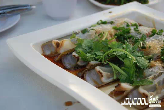 新加坡游学怪异、美味食物大盘点（二）