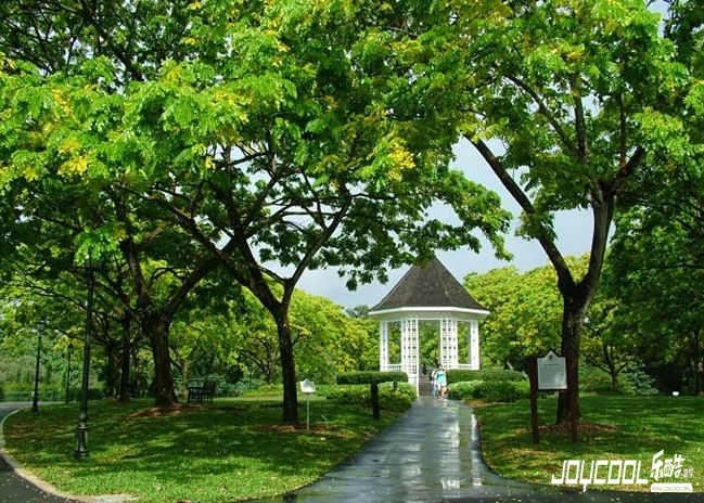 在新加坡只呆24个小时，也要享受浓浓的南洋风情！