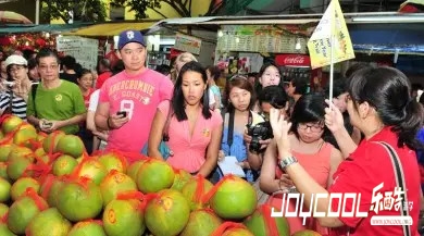 牛车水八大活动