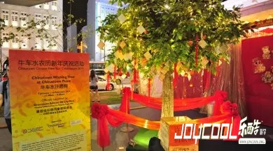 牛车水八大活动