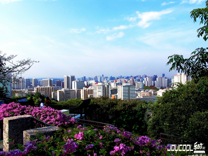 新加坡语言上的先见之明