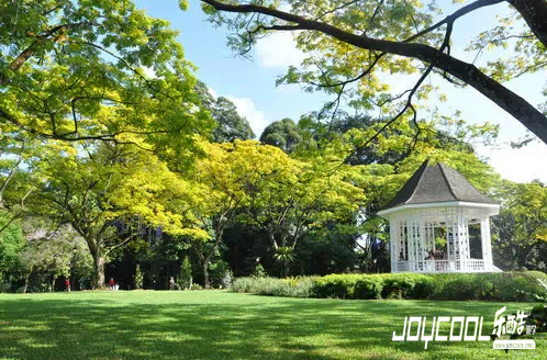 新加坡游学十大必体验第一波