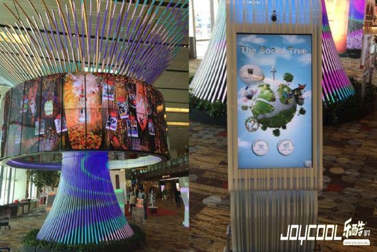 新加坡樟宜机场7大体验