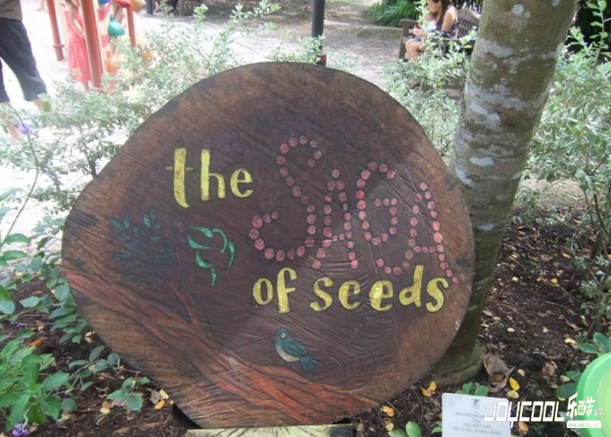 一家三口新加坡游玩好去处