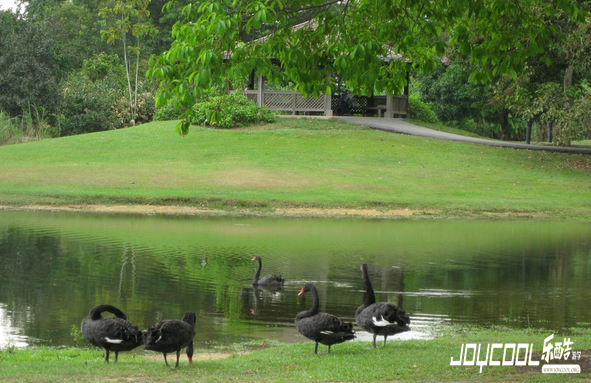 教你7种方式游览新加坡，总有一款适合你（二）