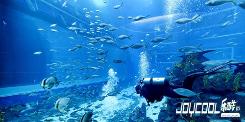 新加坡游学海底