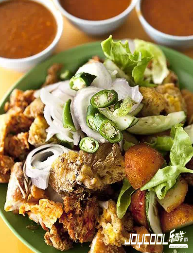 新加坡游学罗惹