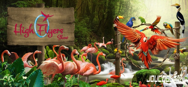 到新加坡一定要做的60件事