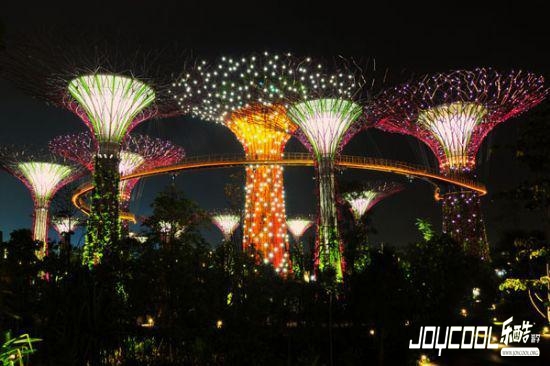 到新加坡一定要做的60件事