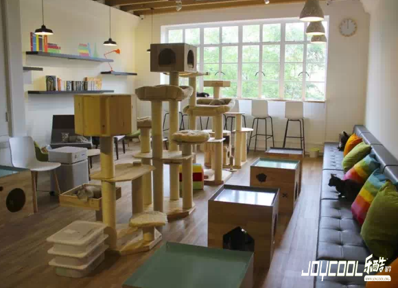 NekonoNiwa猫咪庭院咖啡馆 NekonoNiwa猫咪庭院咖啡馆