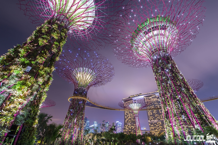 滨海湾的超级树