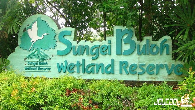 双溪部落湿地保护区探奇 双溪部落湿地保护区探奇