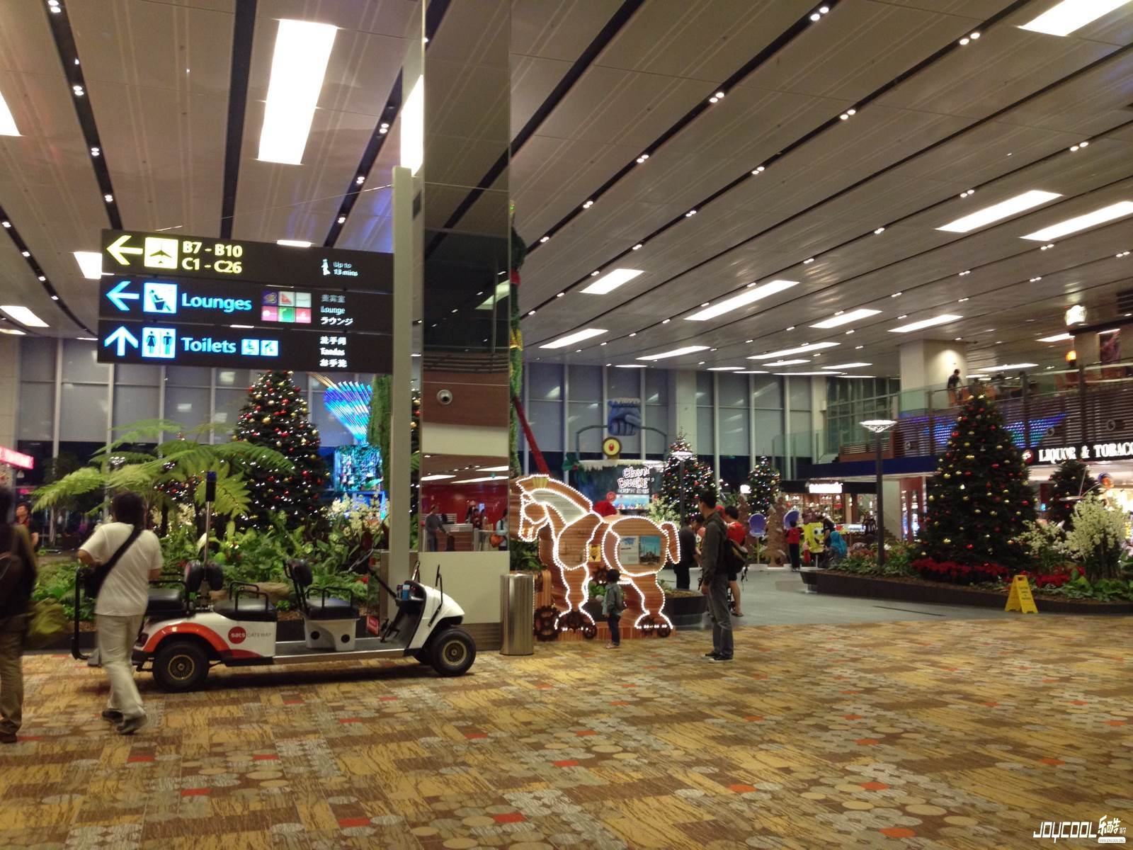 新加坡樟宜国际机场 新加坡樟宜国际机场