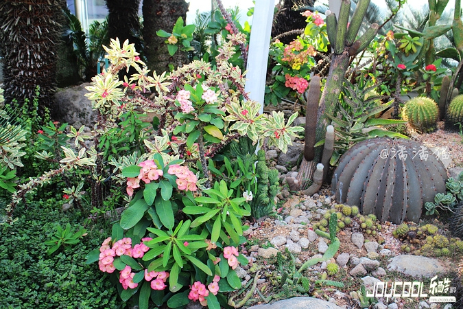 新加坡樟宜机场四大花园