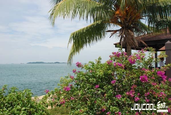 新加坡垃圾小岛成旅游胜地