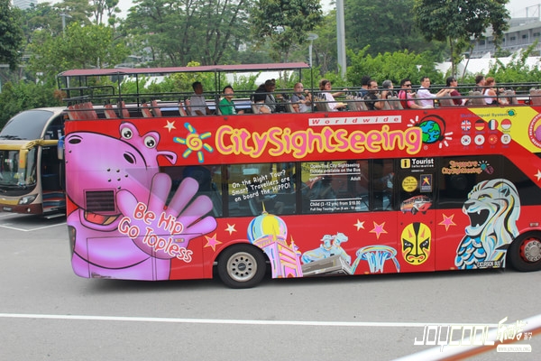 敞篷双层观光巴士游