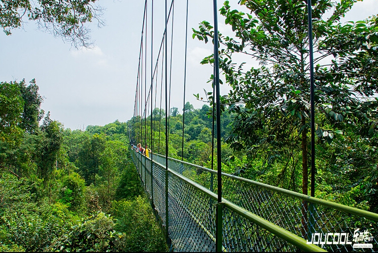 新加坡最惊险刺激的地方