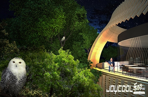 畅游新加坡飞禽公园