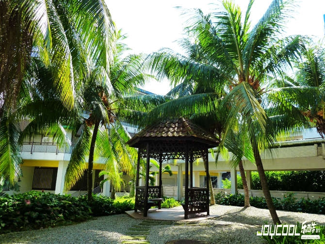 新加坡人的生活习惯