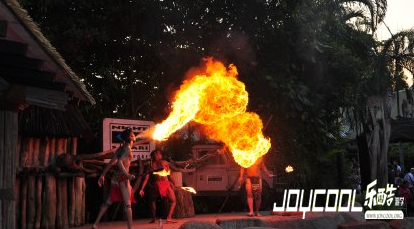 另类的夜间动物园