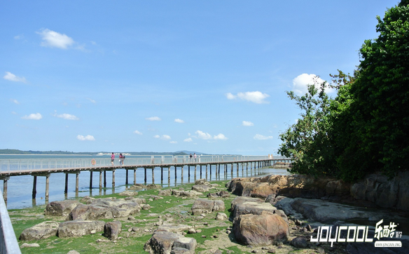 新加坡乌敏岛旅游