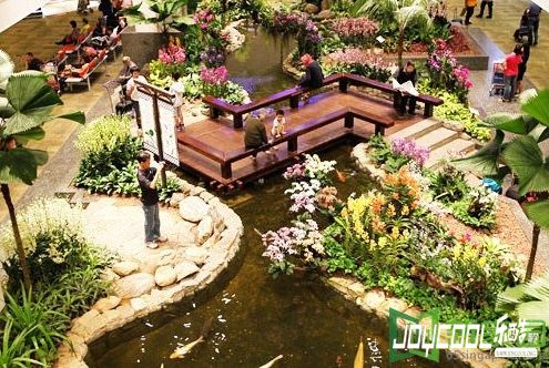 新加坡樟宜国际机场中的园林景观