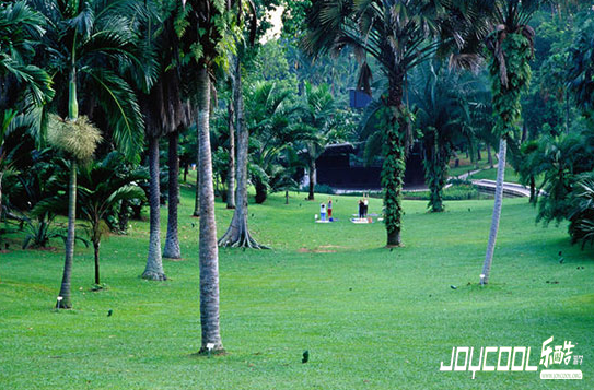 感受喧嚣背后新加坡掩藏的质朴