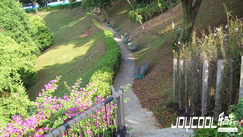 新加坡旅游景点之花柏山