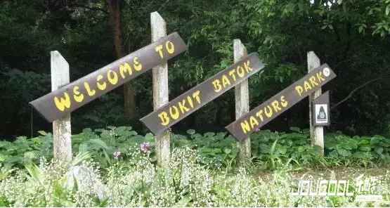 Bukit Batok Nature Park