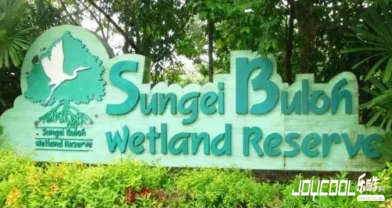 Sungei Buloh Wetland Reserve