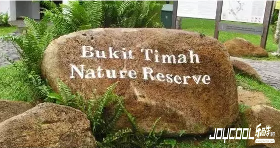 Bukit Timah Nature Reserve