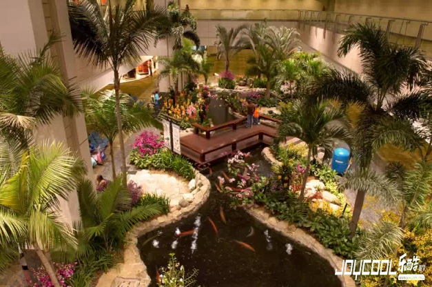 新加坡樟宜国际机场,新加坡游学