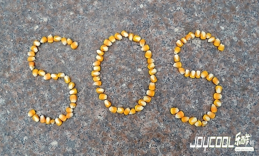 新加坡诊所,紧急呼叫