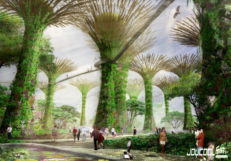 新加坡特色的环境