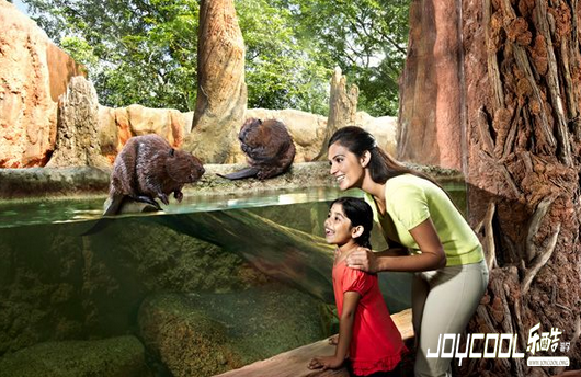 新加坡河川生态园 亲子同乐新水态