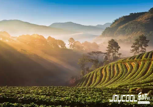 新加坡魅力,新加坡游学