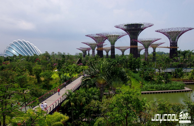 新加坡：美丽新世界的幕后